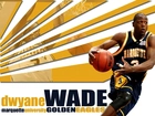 Koszykówka,koszykarz , Dwyane Wade