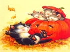 Halloween,myszki w dyni