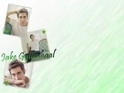 Jake Gyllenhaal,biała koszulka, serca