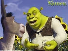 Shrek 1, osioł, Shrek, słoneczniki