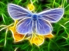 Niebieski, Motyl modraszek, Fractalius