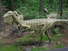 Figurka, Troodon