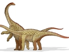 Dwa, Brachiozaury