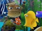 Gdzie Jest Nemo, Akwarium