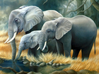 Słonie, Wodopój