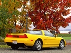Żółta, Acura NSX, Jesień