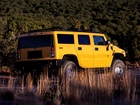 Żółty, Hummer H3