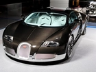 Bugatti Veyron, Karbon