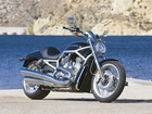 Harley Davidson V-Rod, Chłodnica