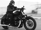 Harley Davidson Sportster 883 Iron, Klasyka, Gatunku