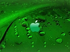 Zielony, Liść, Rosa, Logo, Apple