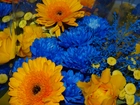 Bukiet, Niebiesko, Żółtych, Kwiatów