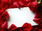 Walentynki, Płatki, Róż, List, Miłosny