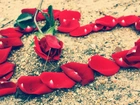 Róża, Serce, Płatki