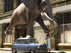 Słoń, Samochód, Dziewczyna