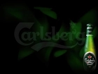 Butelka, Calsberg, Logo, Zielone, Ciemne, Tło