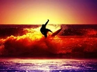 Morze, Fala, Surfing