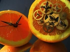 Pomarańcze, Mechanizm, Zegarka