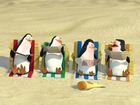 Madagaskar, Pingwiny, Plaża