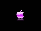 Różowe, Logo, Apple, Czarne, Tło