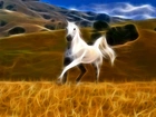 Biały, Koń, Łąka, Grafika