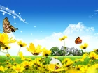 Wiosna, Żółte, Kwiatki, Motylki, Biedronka