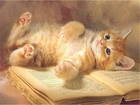Kot, Leżący, Na, Książce