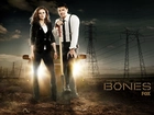 Serial, Bones, Kości, Emily Deschanel, David Boreanaz