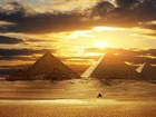 Piramidy, Pustynia, Wielbłąd