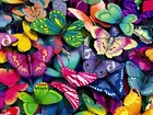 Kolorowe, Motyle