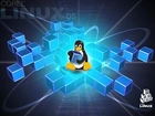 Linux, Pingwin, Klocki