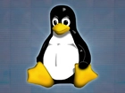 Linux, Pingwinek, Niebieskie, Tło