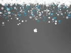 Płatki, Śniegu, Apple