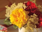 Bukiet, Żółtych, Czerwonych, Róż