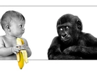 Dziecko, Małpa, Banan