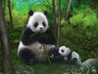Pandy, Bambus, Motyl