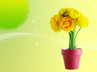 Żółte, Kwiaty, Doniczka