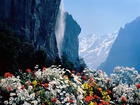 Kwiaty, Góry, Wodospad