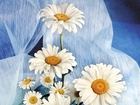 Białe, Niebieska, Kwiaty, Tkanina