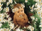 Małe, Dziecko, Kwiatki