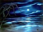 Noc, Morze, Księżyc, Bob Roos