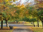 Jesień, Park, Kolorowe, Drzewa, Ławki