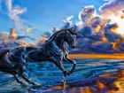 Koń, Zachód, Słońca, Plaża