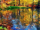 Krajobraz, Jesienny, Odbicie, Drzew