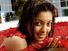 Tanushree Dutta, Płatki, Kwiatów, Kąpiel