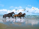Konie, Galop, Ptaki, Plaża