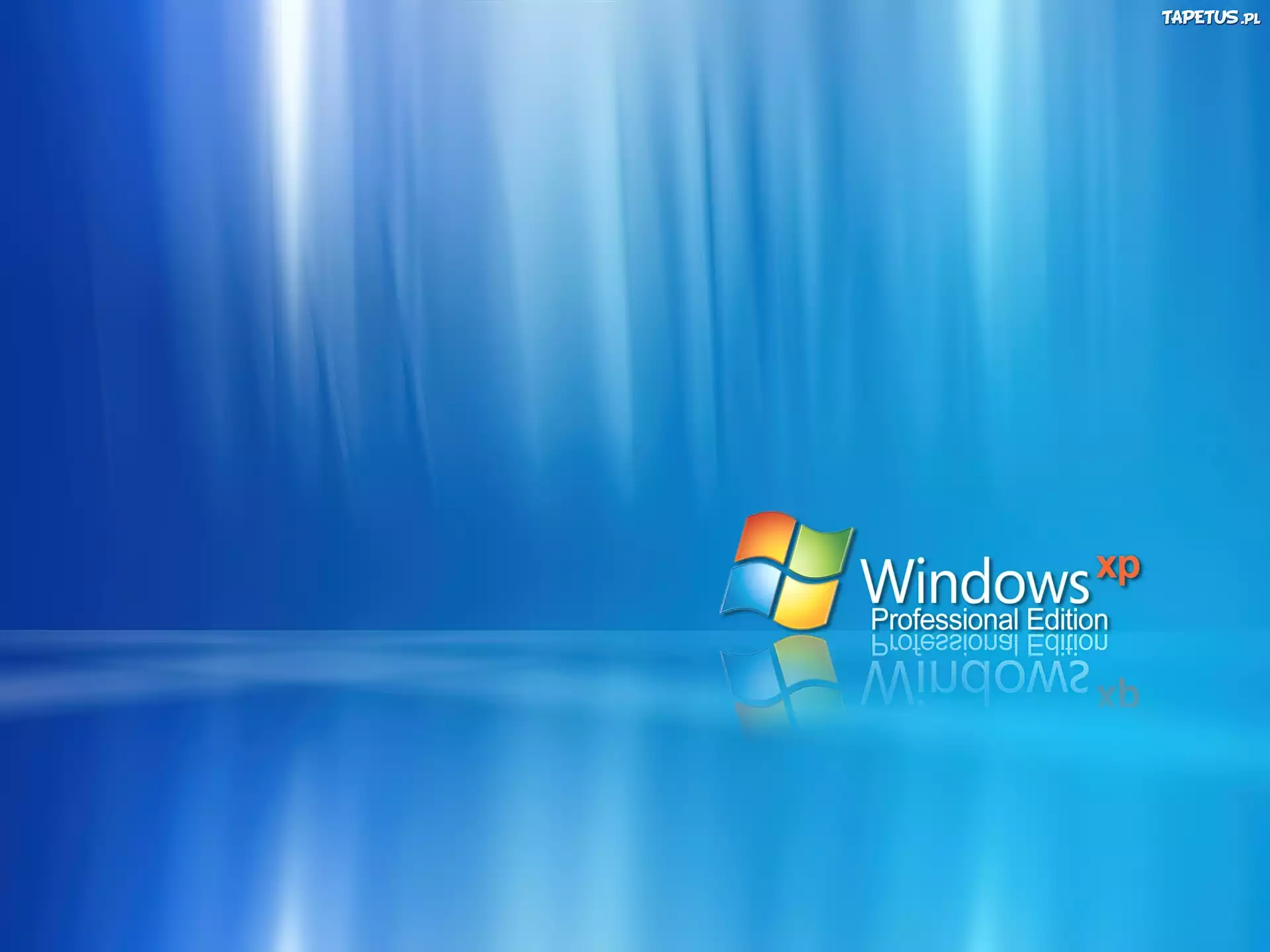 Windows XP