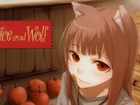 Spice and Wolf