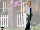 Desperate Housewives, Felicity Huffman, drzewo