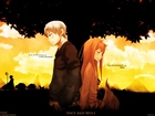 Spice And Wolf, Postacie